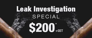 Leak Investigation Discount Rosedale